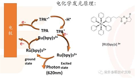 一文读懂化学发光（二）