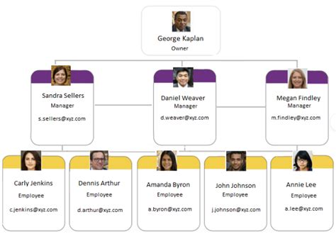 Functional Organizational Chart Template | Master Template