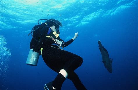 Top Scuba Diving Places In India Weekend Thrill