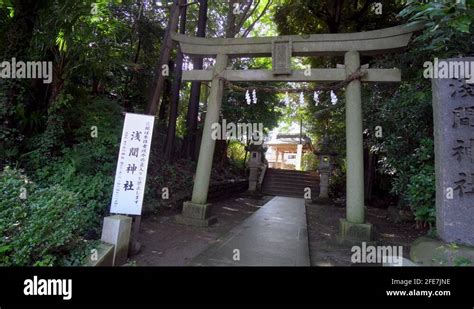 Buddhism and shinto Stock Videos & Footage - HD and 4K Video Clips - Alamy