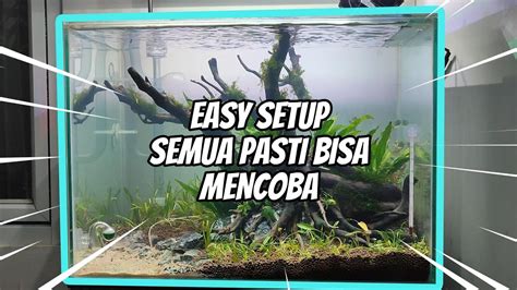 LANGKAH DEMI LANGKAH CARA MEMBUAT AQUASCAPE NATURAL UNTUK PEMULA