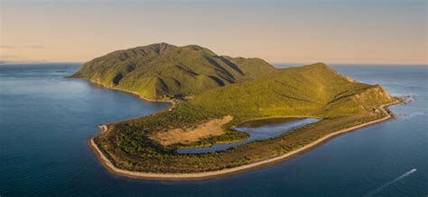 Kapiti Island Nature Tours