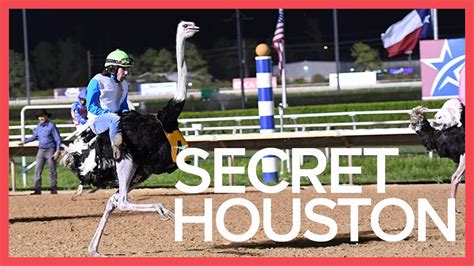 Houston S Best Kept Secrets Youtube