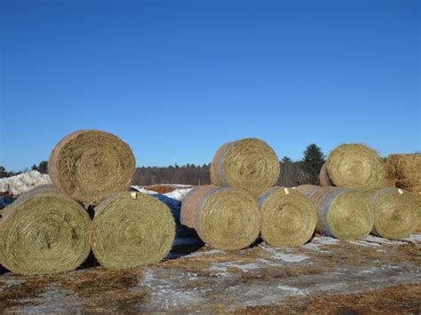 Early February Hay And Firewood Auction Fairchild Wi