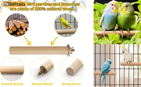 Amazon 8 PCS Bird Cage Accessories Parakeet Toys Bird Supplies