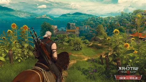 Witcher 3 Wild Hunt Vagina Mod Accidentally Became Involved In The Game Game News 24