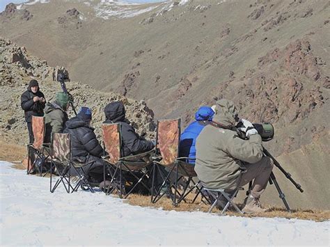 Greentours Natural History Holidays - Snow Leopards of Mongolia