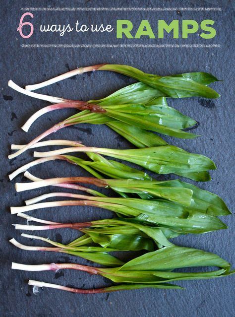 What To Do With Ramps Springs Most Fashionable Ingredient Ramp