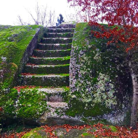 Monte Casoli Il Bosco Del Serraglio E Labitato Rupestre Dicembre