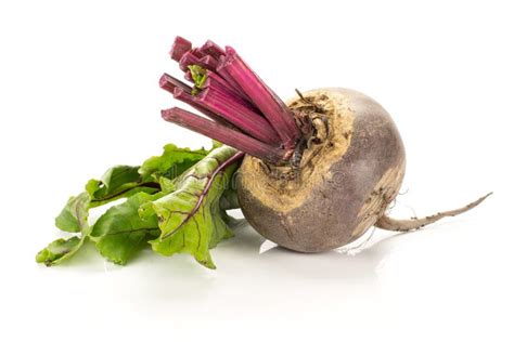 Fresh Raw Beetroot Isolated Isolated On White Stock Photo Image Of