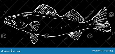 Walleye Fish Silhouette Vector Illustration | CartoonDealer.com #200691174