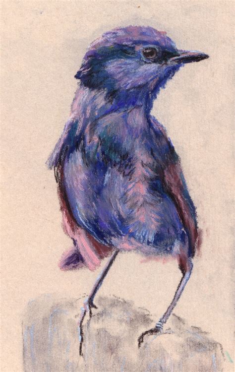 Ruth's Bluebird, soft pastel | Soft pastel, Painting, Blue bird