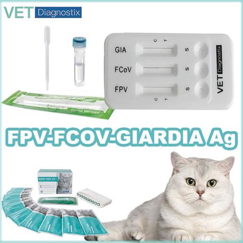 Fpv Fcov Giardia Ag Feline Panleukopenia Giardia Antigen Combo Rapid