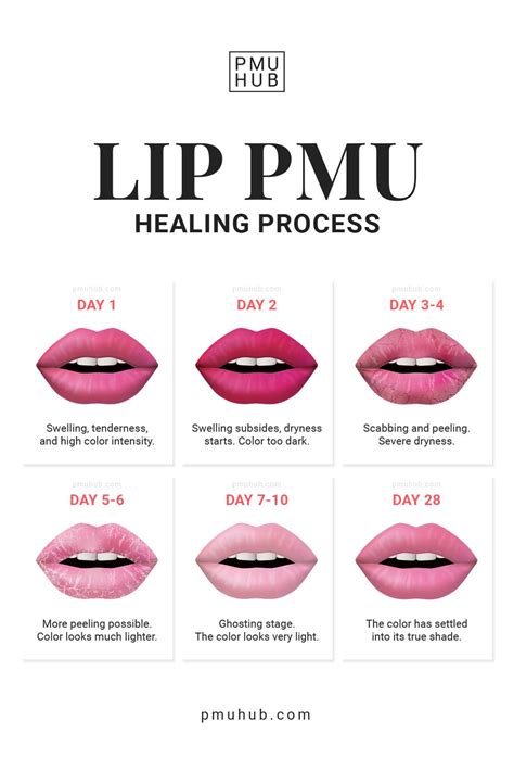 Lip Blush Healing Process Day By Day Timeline And Stages In 2023 Lip Permanent Makeup Lip