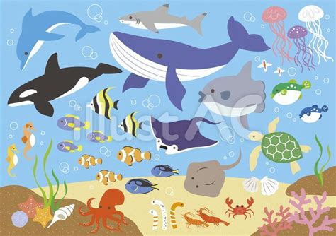 海の生き物02イラスト No 1219632｜無料イラスト・フリー素材なら「イラストac」