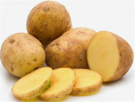 varietas kentang  jenisnya rumah kentang