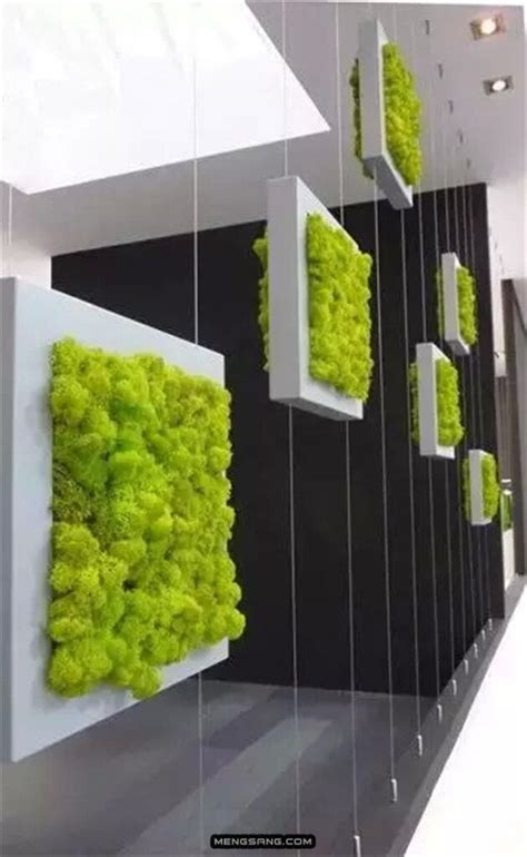 The 50 Best Vertical Garden Ideas And Designs For 2022