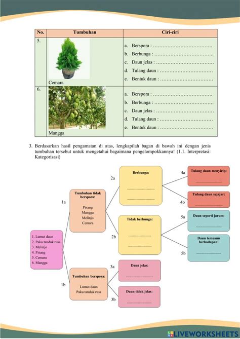 Lkpd 1 2 Cara Klasifikasi Makhluk Hidup Online Exercise For Live Worksheets