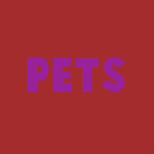 Meus Pets Wiki Escola Kamiyama RPG Amino