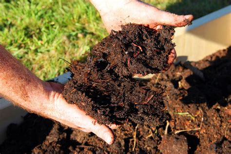 Amending Soil With Compost: Learn How To Mix Soil And Compost ...