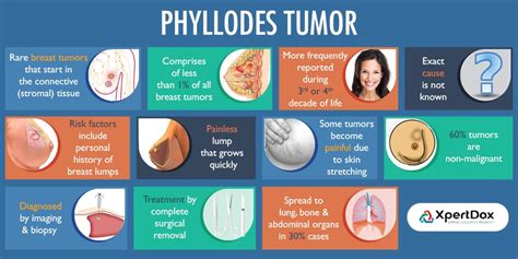 Phyllodes Tumors Of The Breast Are Rare Tumors That Start In The