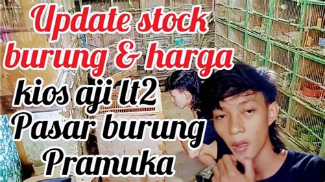 Update Stock Burung Harga Di Kios Aji Lt Pasbur Pramuka Youtube