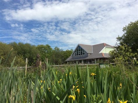 Parc Slip Nature Reserve Where To Go With Kids South Wales