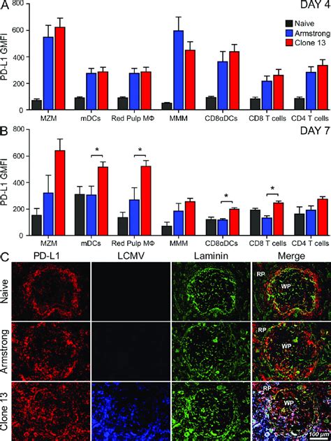 Figure Splenic Distribution Of PD L Expression After Infection A And