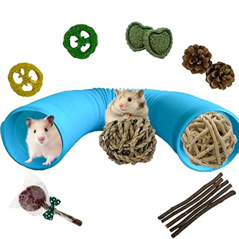 Large Hamster Tunnels – The 16 best products compared - wonder-pets.net ...