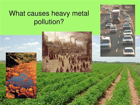 Heavy Metal Contamination In Agricultural Soils Ppt Download