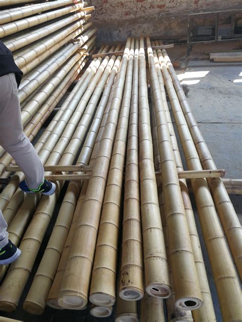 Beautiful Natural Moso Bamboo Polesstickcanes Bamboo Pole And