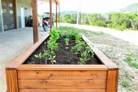 25 DIY Garden Bed Plans To Enhance Garden Look - Susie Harris