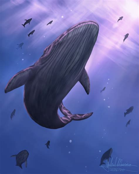 My digital art, Whales are so beautiful : r/DigitalArt