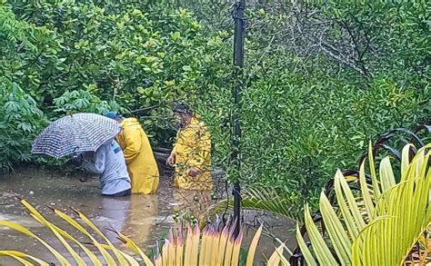 Intensas Lluvias Causan Estragos En Zona Maya De Carrillo Puerto