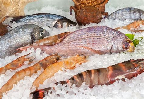 El Pescado Congelado Puede Ser Tan Bueno Como El Fresco E Incluso Mejor