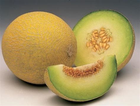 First Half Growth For Spain S Melon Exports Article Fruitnet