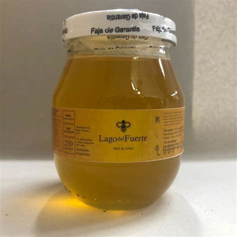 MIEL PURA DE ABEJAS X 250 GRS LAGO DEL FUERTE