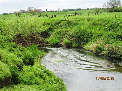 River Swale Cod Beck Topcliffe Bradford City Angling Association