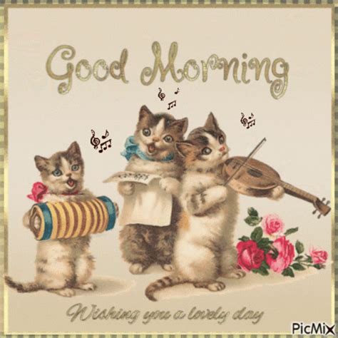 Good Morning Cat GIF - Good Morning Cat Kitten - Discover & Share GIFs