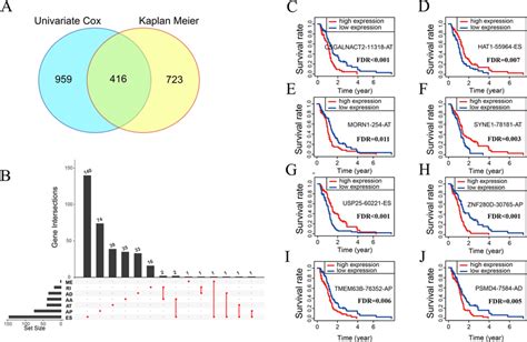 Identification Of Survival Related AS Events In GBM A Venn Plot Of