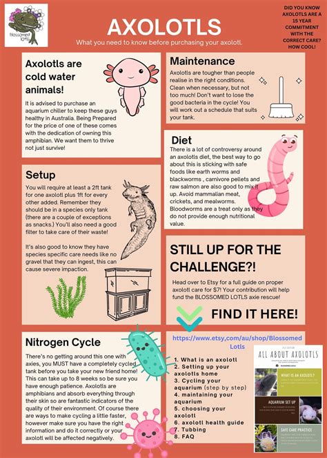 how to take care of an axolotl 1