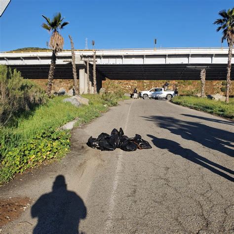 Ocho Homicidios En Tijuana Semanario ZETA