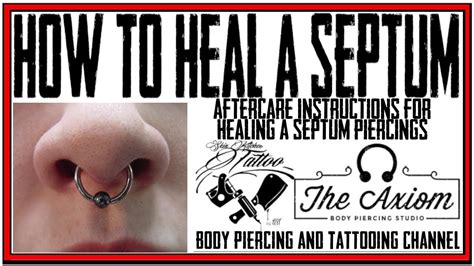 Correct Septum Piercing Placement Diagram