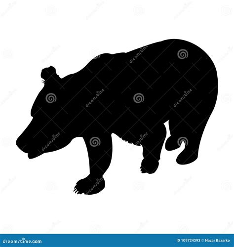 Silhouette Of Brown Bear. Vector Illustration Isolated On A Transparent ...