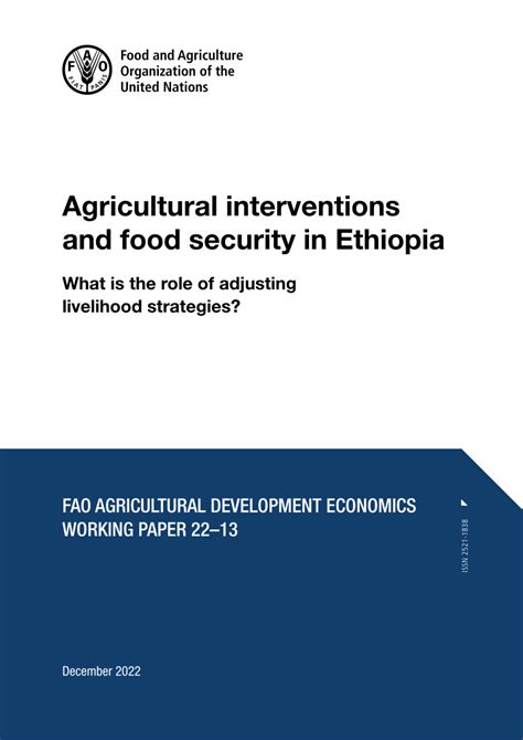 PDF Agricultural Interventions And Food Security In Ethiopia What Is