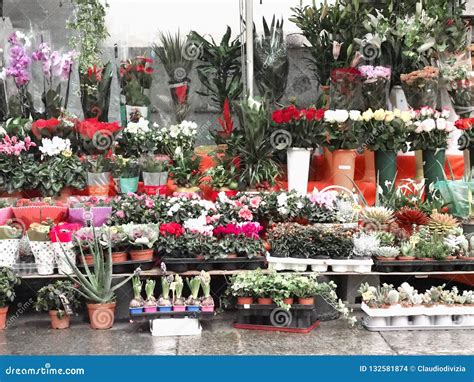 Outdoor Flower Shop In Turin Editorial Stock Image Image Of European