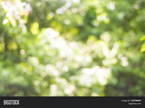 Blurred Beautiful Image & Photo (Free Trial) | Bigstock