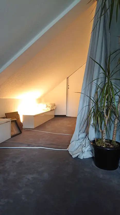 Zimmer Wohnung Zu Vermieten Alte Potsdamer Landstr