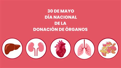 30 De Mayo DÍa Nacional De La DonaciÓn De Órganos Radio Fm Viñas 963