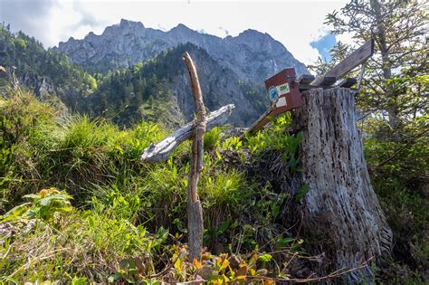 Schlosskogel M Berggipfel Alpenvereinaktiv